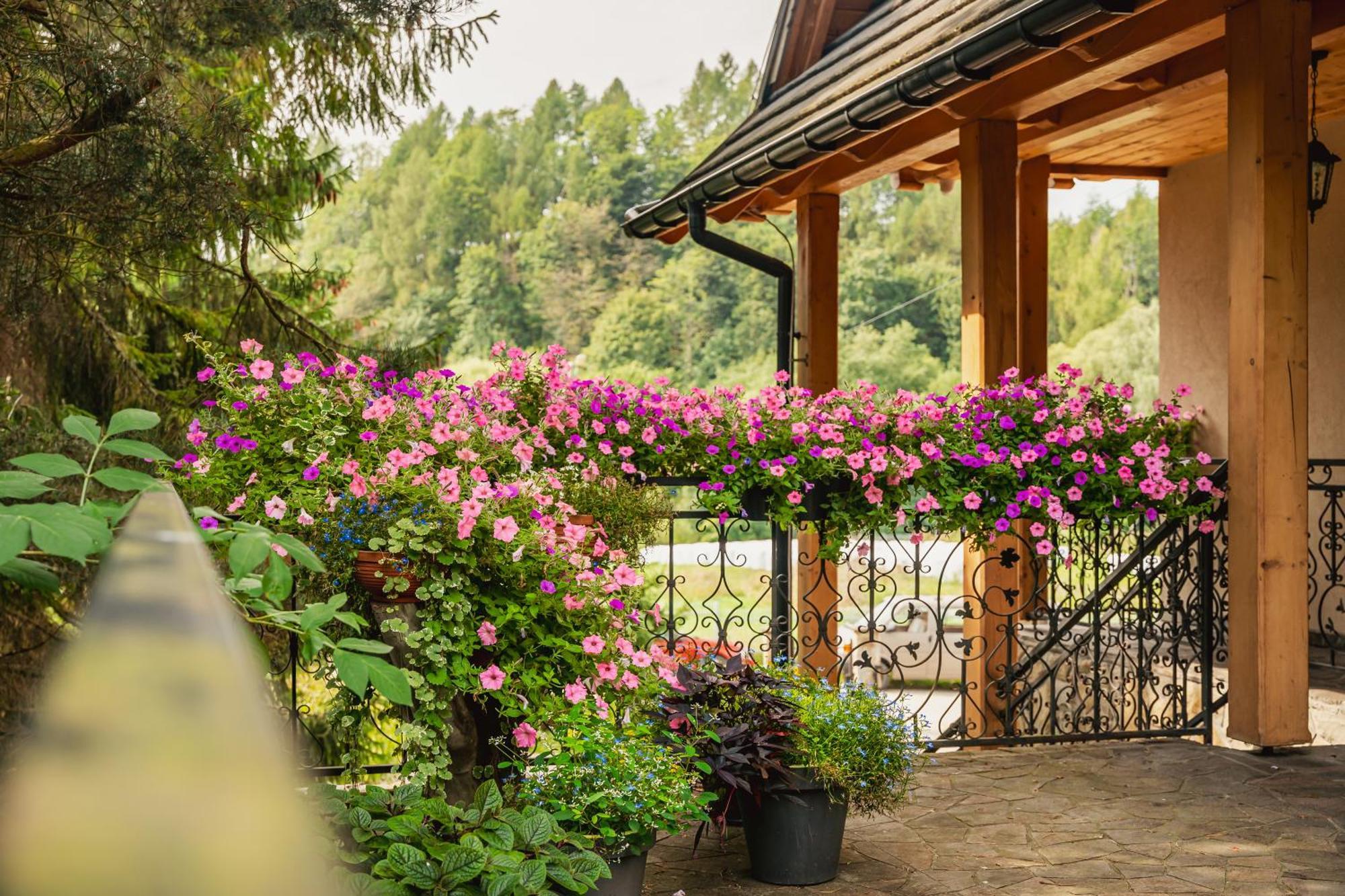Apartamenty U Kukuca Шавница Экстерьер фото